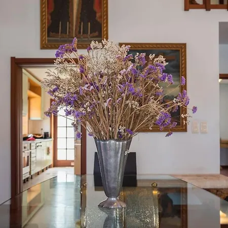 Villa Esmoriz's House Garden Beach *